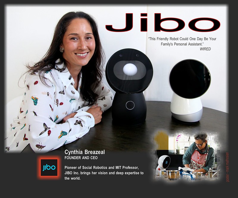 “Killing” Jibo