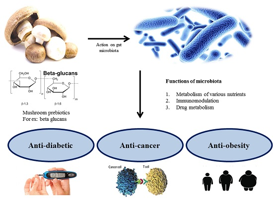 Medicinal mushrooms and gut health